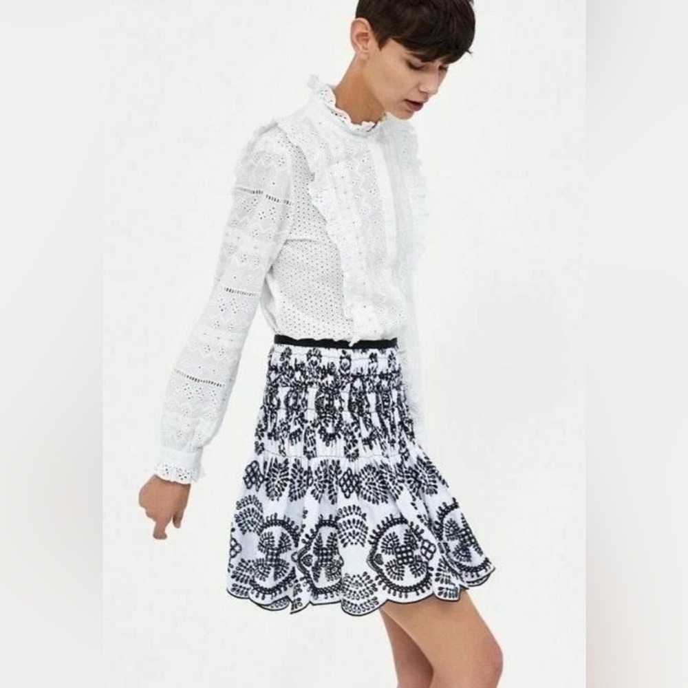 Zara Embroidered open work Skirt